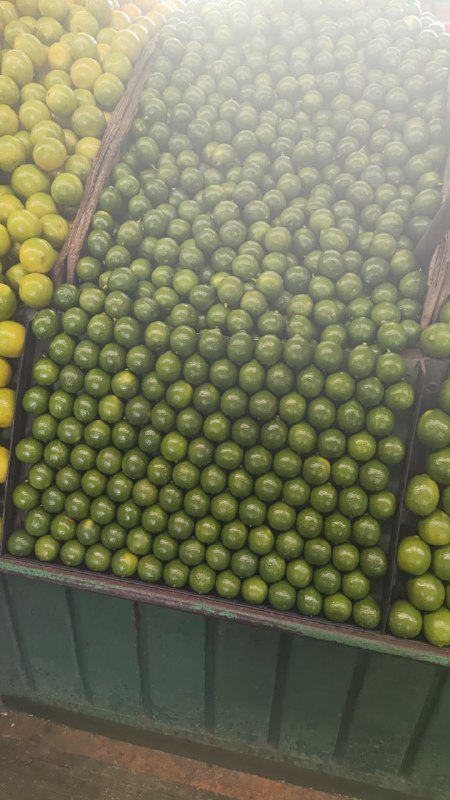 :24 kilo de limón tercera sección #subasta