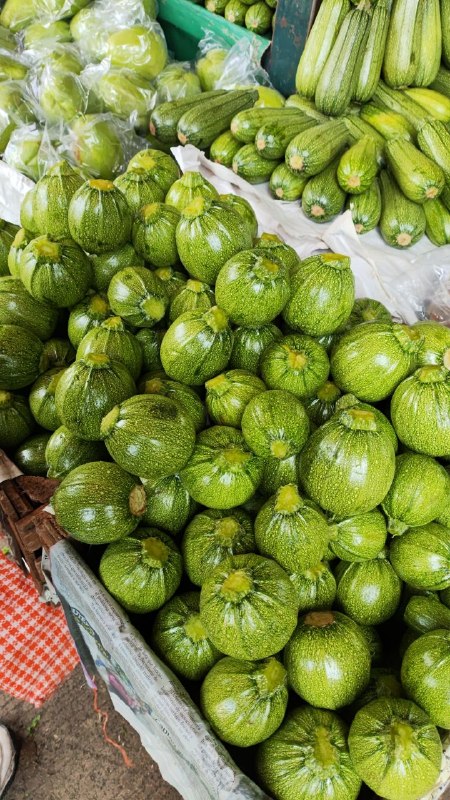 16: kilo de calabaza segunda sección #subasta