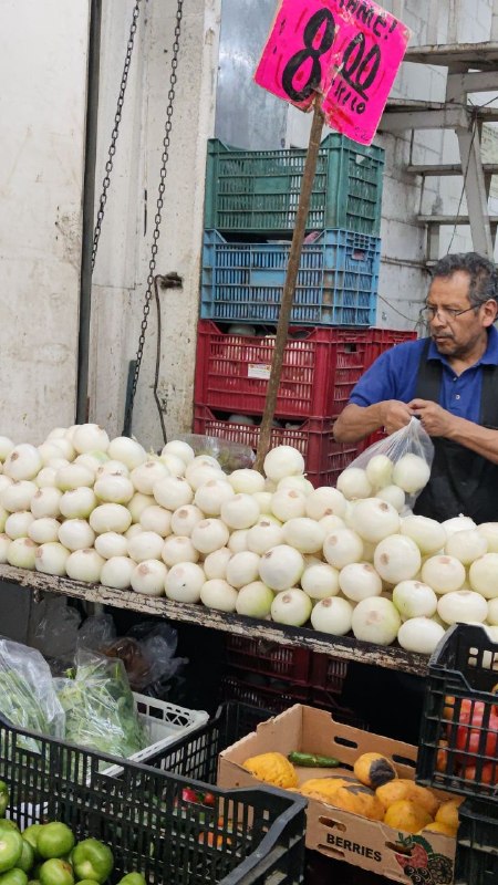 8: kilo de cebolla #L_6
