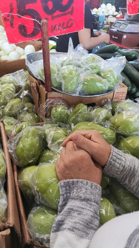 5: kilo chayote #subasta tercera sección