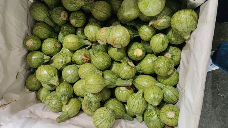 15: kilo calabaza en primera sección en #subasta