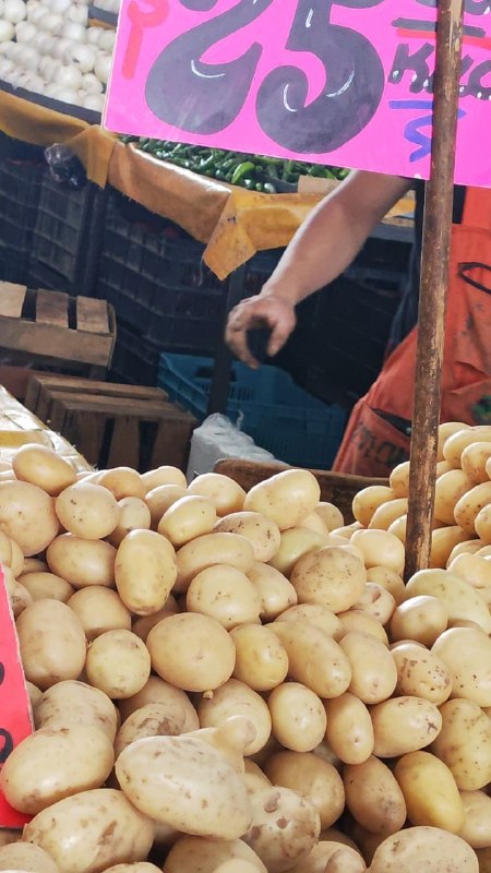 25: kilo papa tercera sección #subasta
