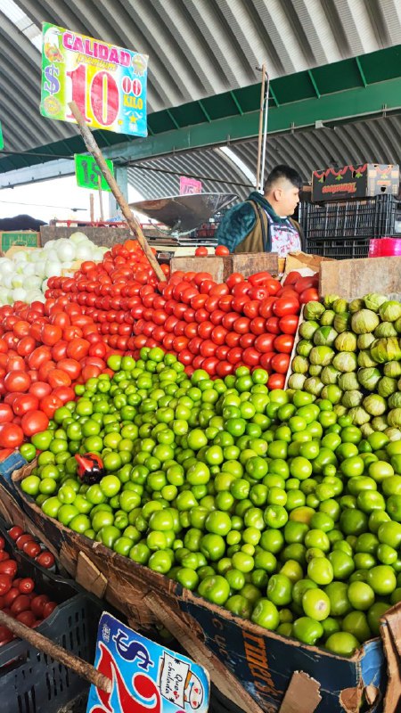 10: kilo jitomate tercera sección #subasta