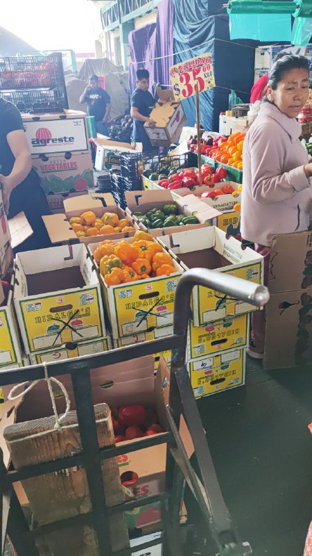 35: kilo pimiento tercera sección #subasta