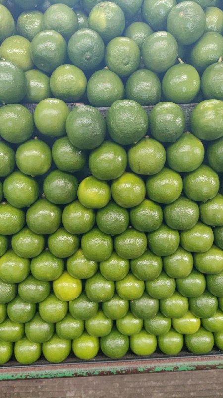 13: kilo limón tercera sección #subasta