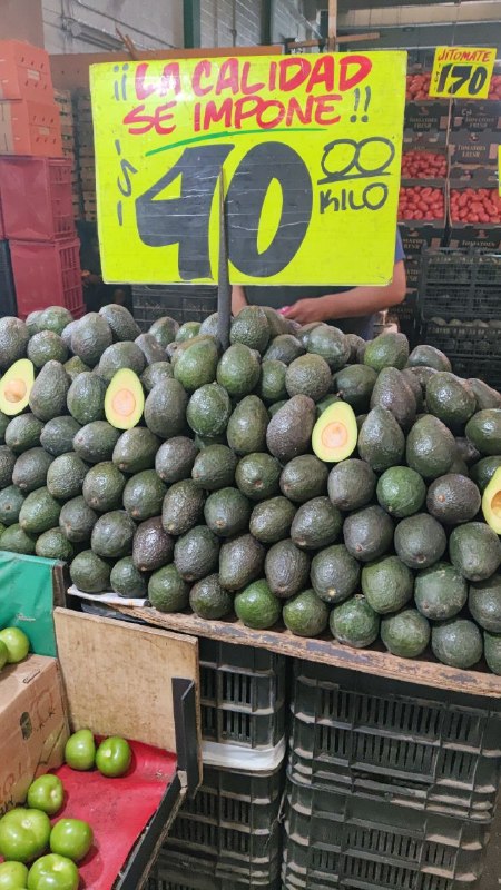 40: kilo de aguacate #I_125