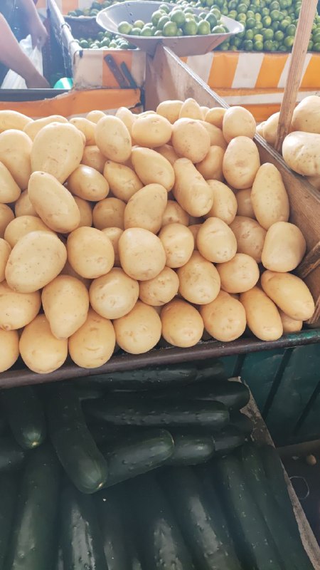 13: kilo de papa en tercera sección #subasta