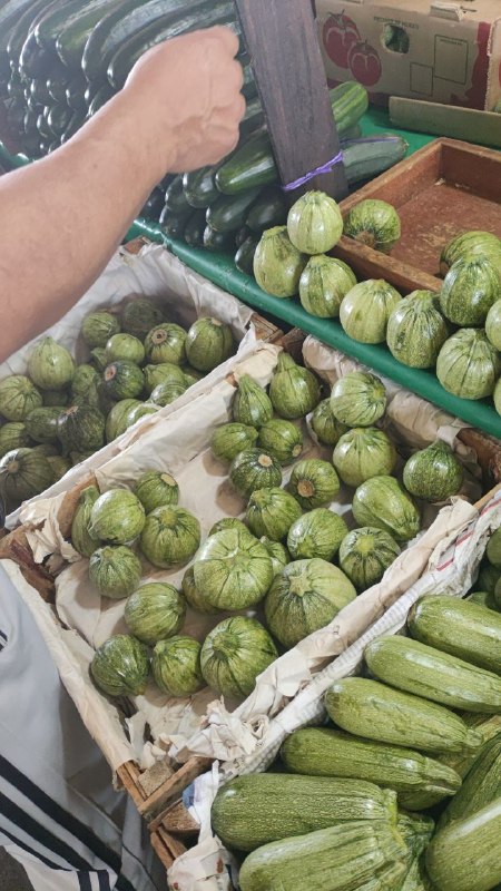 15: kilo calabaza redonda primera sección #subasta