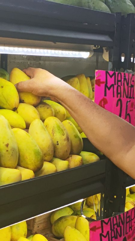 25: kilo mango manila #I_19