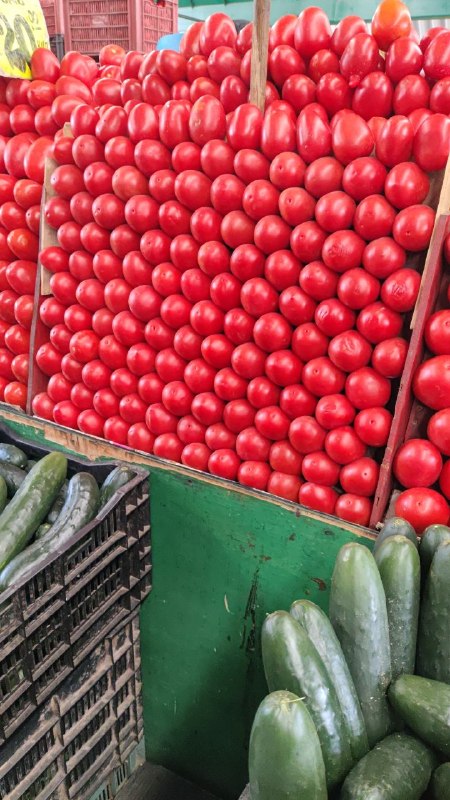13: kilo jitomate #tercera sección #subasta