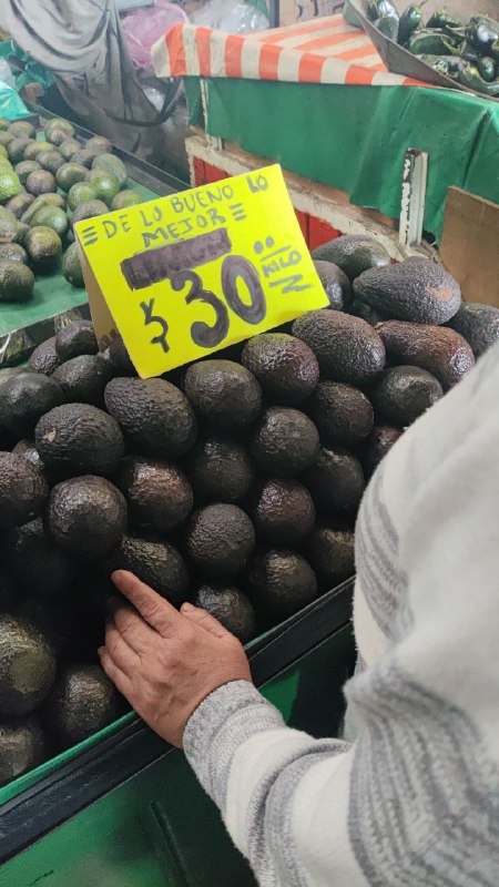 30: kilo aguacate maduro tercera sección #subasta