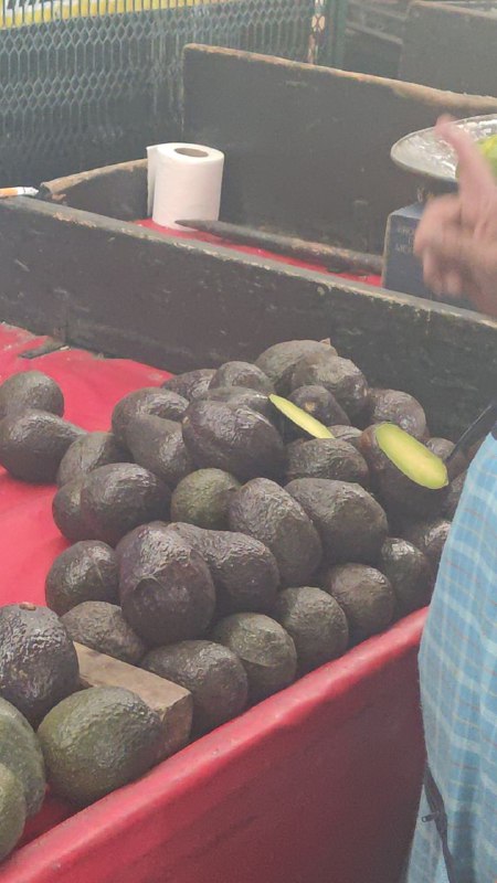 30: kilo aguacate tercera sección #subasta