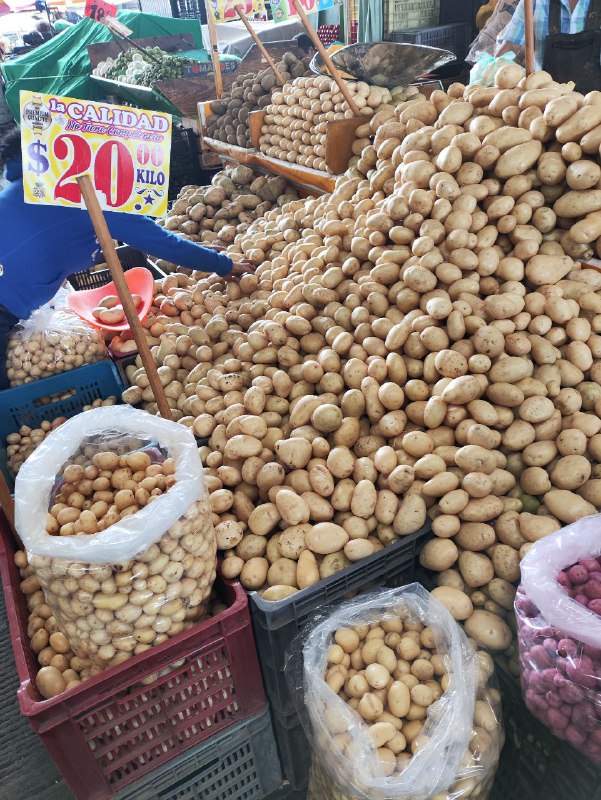 #test2 muchas imagenes#test2 muchas imagenes