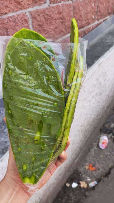 20: bolsa nopales #subasta primera sección