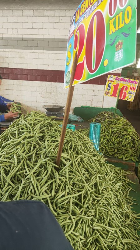 20: kilo ejote tercera sección #subasta
