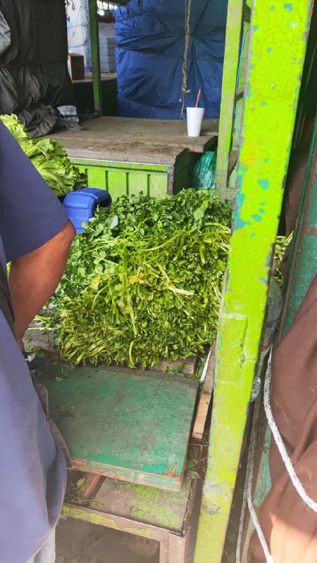 10: pza berro en segunda sección de la #subasta