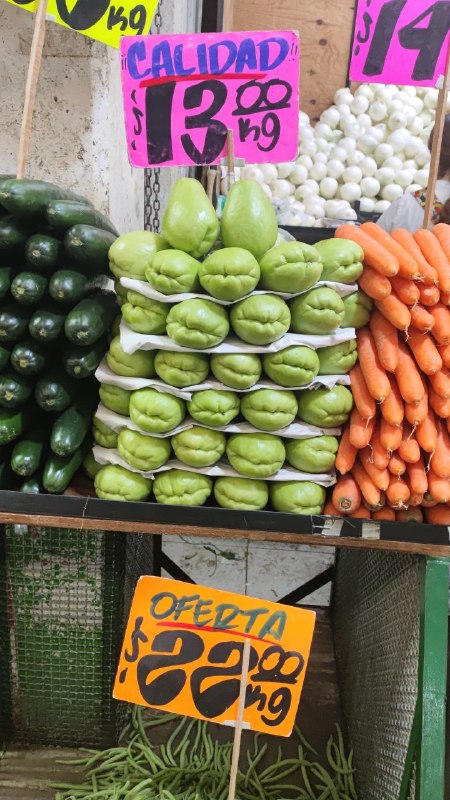 13: kilo de Chayote #J_138