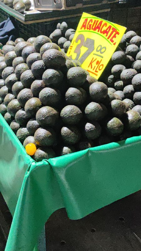 37: kilo aguacate hass #L_181