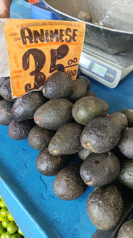 35: kilo aguacate tercera sección #subasta