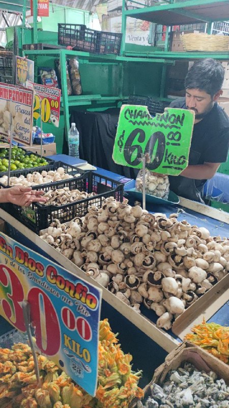 60: kilo segunda sección #subasta