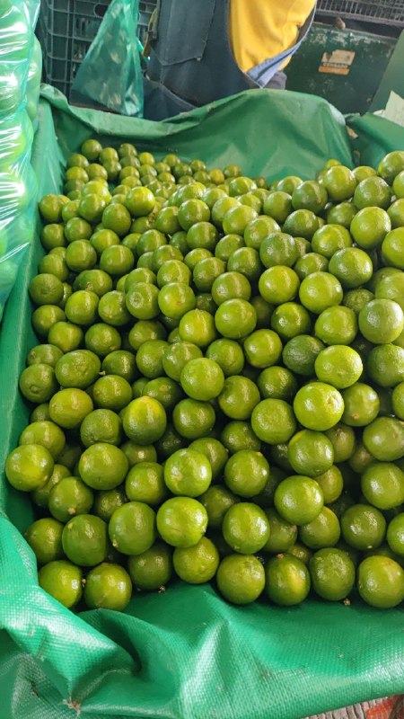 19: kilo limón tercera sección #subasta