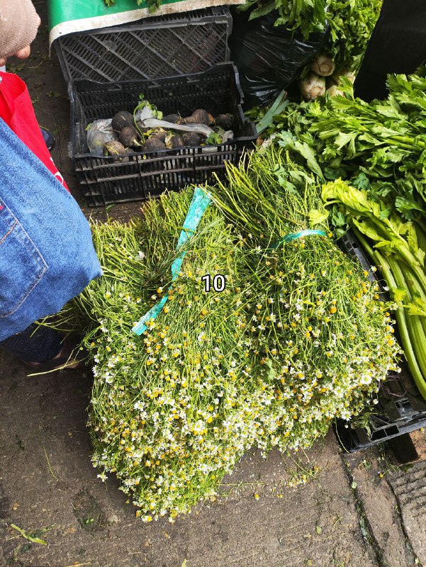 De a 10 pesos en #f23  #cilantro también veanos en google.com