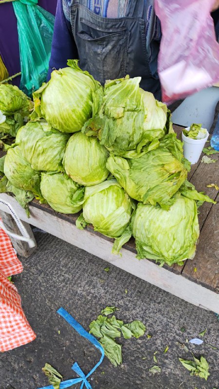 20: pza lechuga grande tercera sección #subasta hasta el fondo