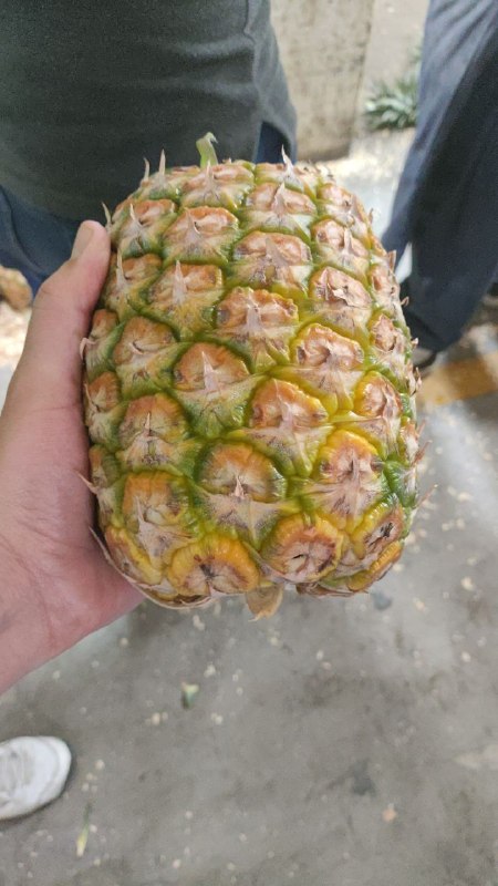 25:pza piña #I_59