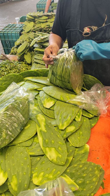 30: por 25 nopales primera sección #subasta