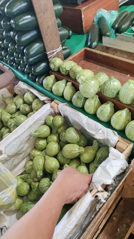 15: kilo calabaza redonda primera sección #subasta
