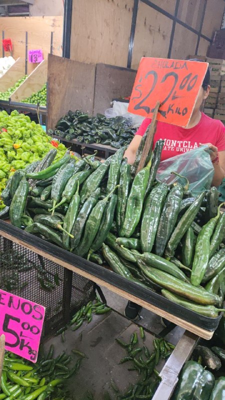 22: kilo chile chilaca