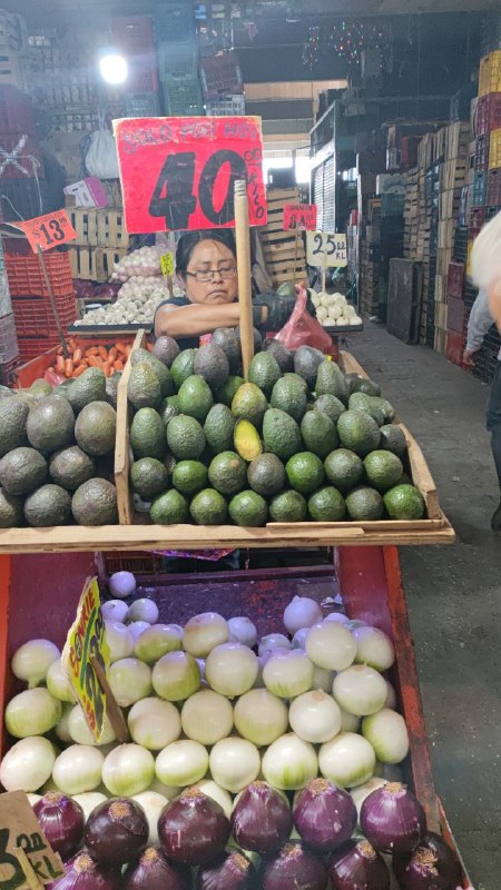 40: kilo de aguacate #I_137