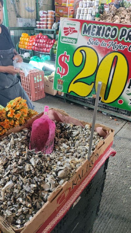 20: kilo huitlacoche #subasta segunda sección
