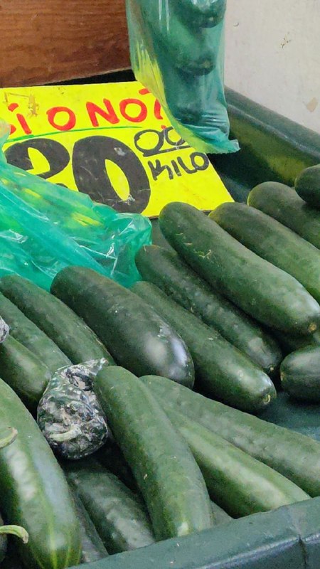 20: kilo pepino #L_64A