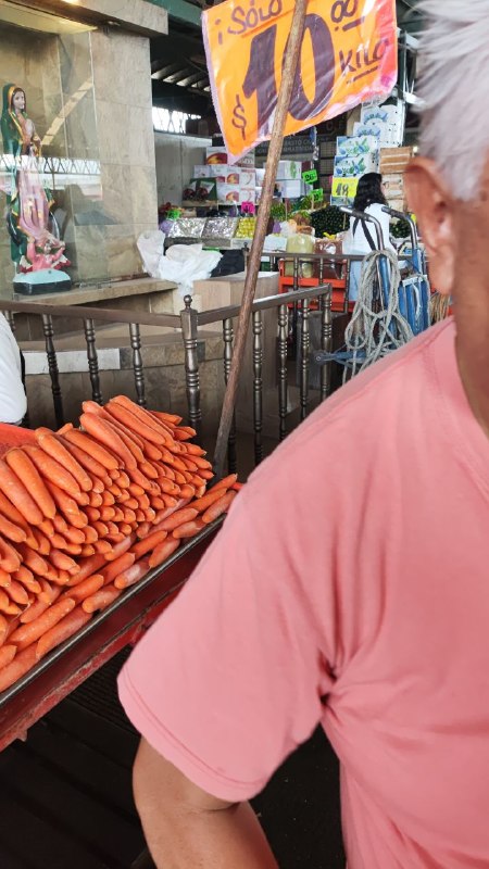 10: kilo zanahoria primera sección #subasta