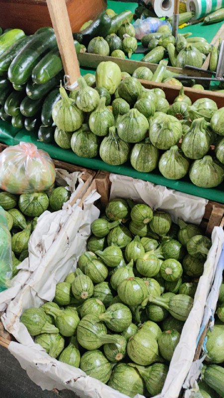 18: calabaza bola kilo en #subasta