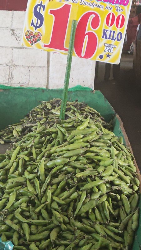 16: kilo haba tercera sección #subasta