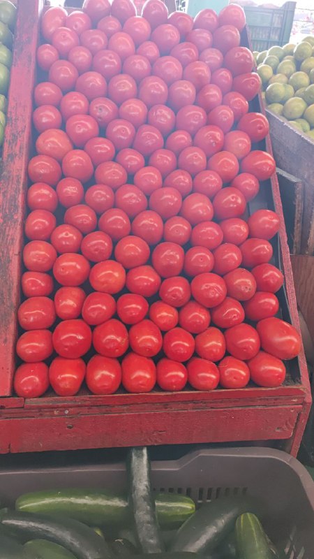 14: kilo jitomate tercera sección #subasta