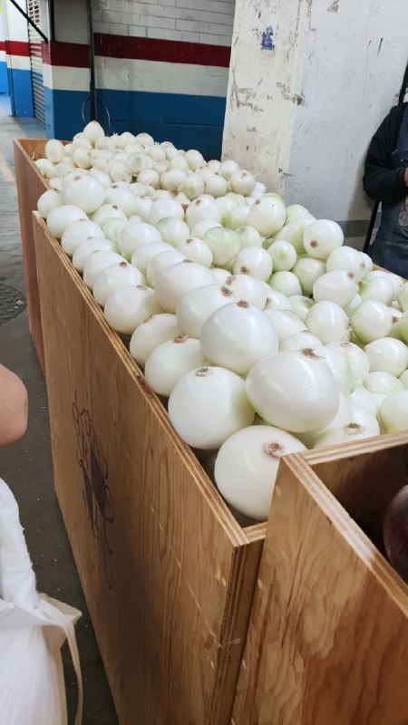 15: kilo cebolla #L_60B