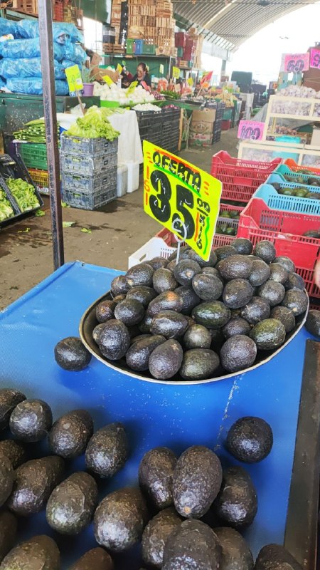 35: kilo de aguacate para rebanar tercera sección #subasta