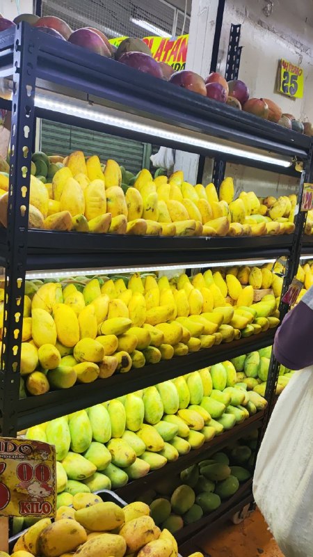 15: kilo de mango #I_19