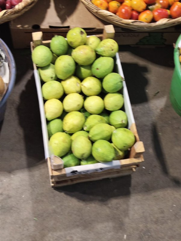 30: guayaba kilo #I-105