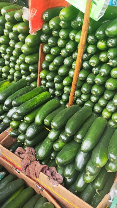 13: kilo pepino segunda sección #subasta