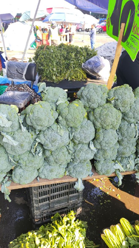 10: kilo de brócoli segunda sección #subasta