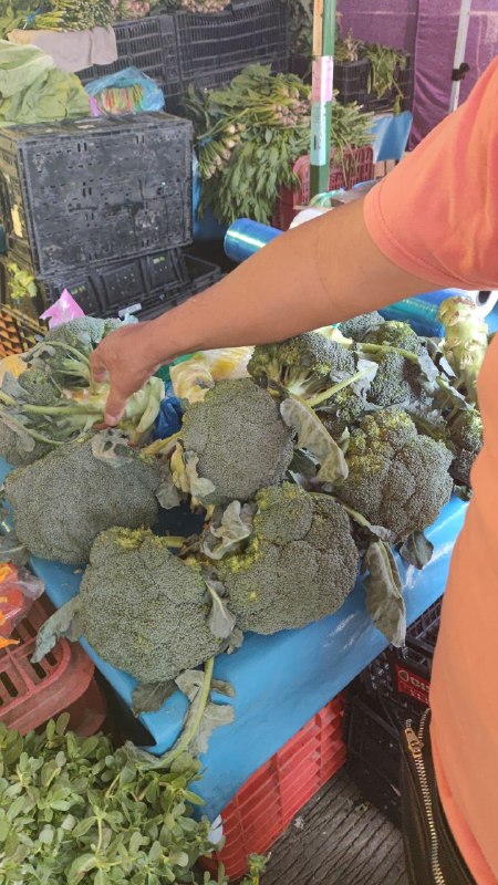 20: kilo brócoli segunda sección #subasta