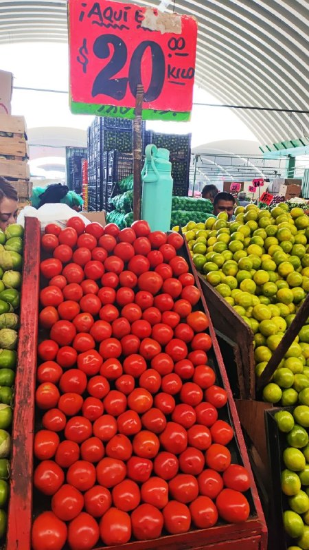 20: jitomate kilo tercera sección #subasta