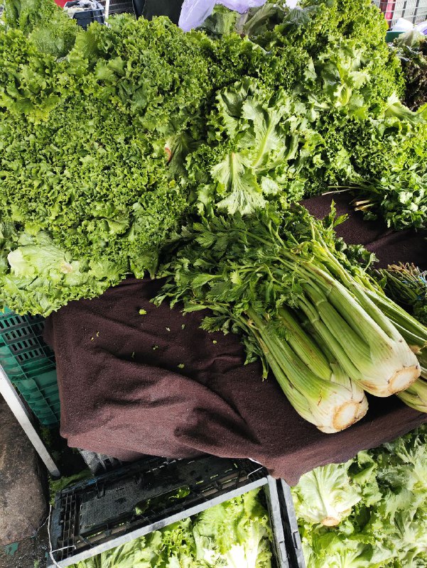 #test2 muchas imagenes#test2 muchas imagenes