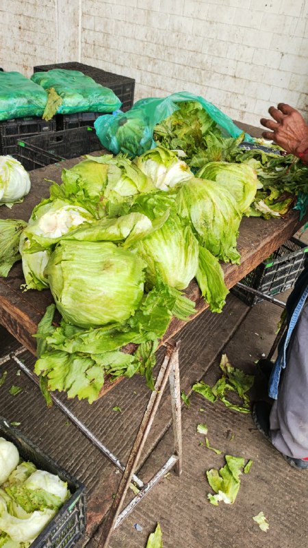 10: lechuga pza en #subasta en la segunda sección