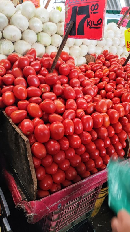 17: kilo de jitomate #subasta tercera sección