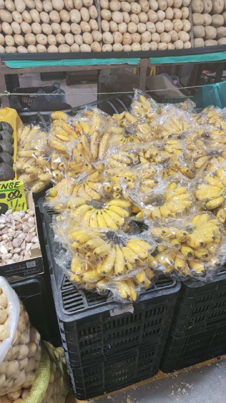 20: kilo platano dominico #I_113